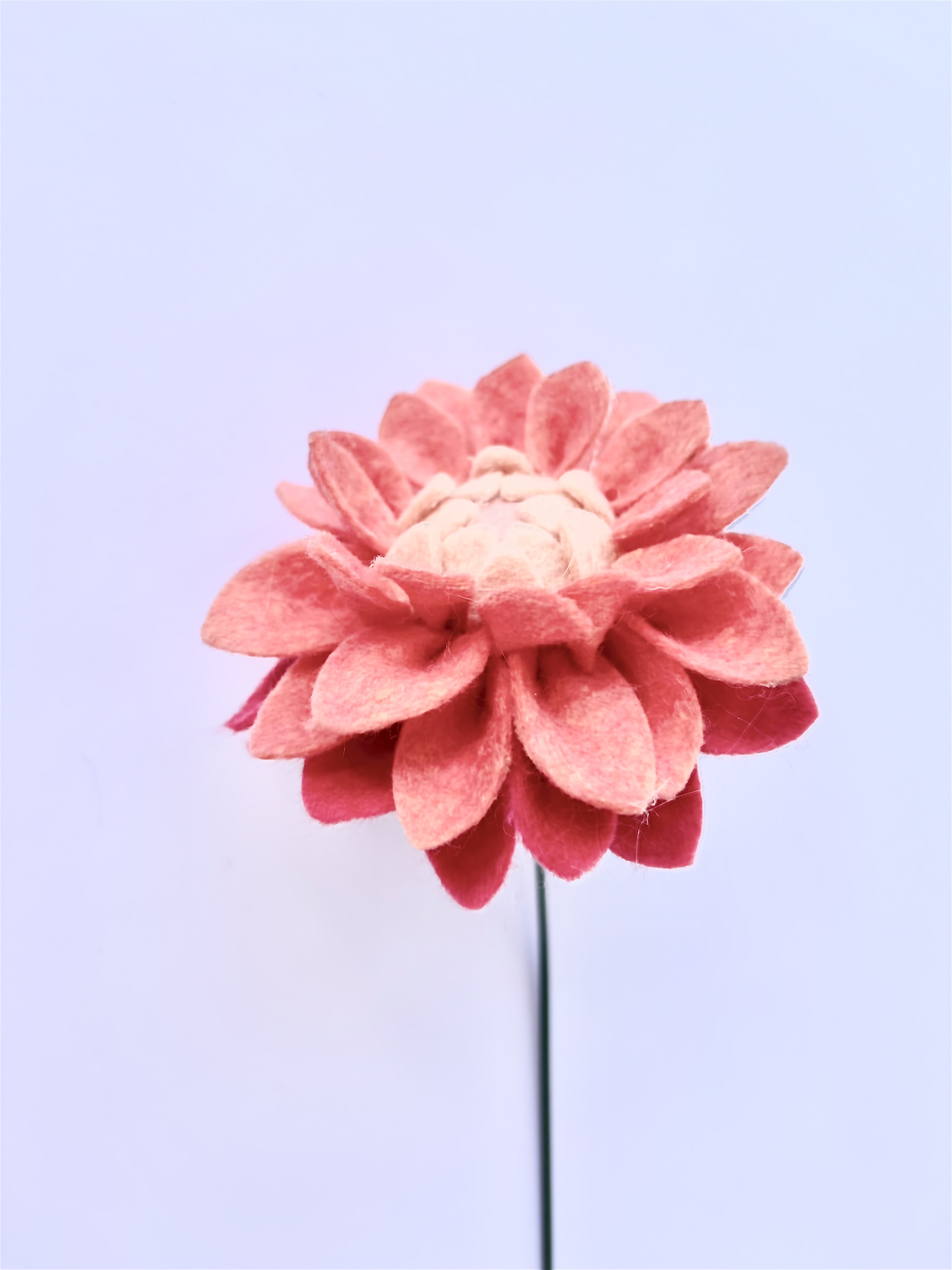 Dália filcvirág dekorációkhoz.