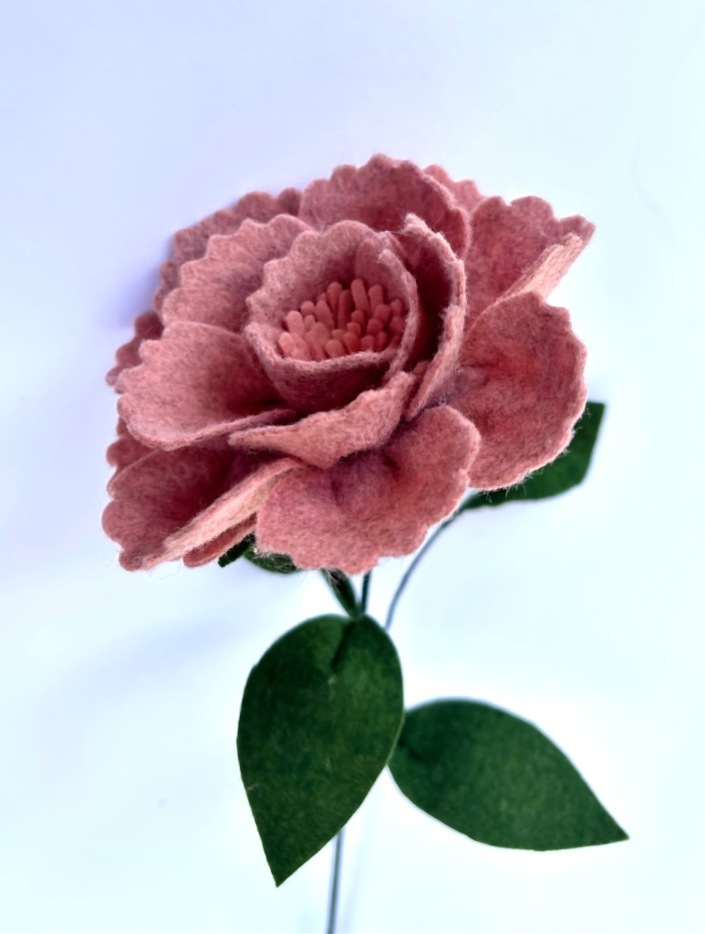 Nagy pünkösdi rózsa filcvirág dekorációkhoz.