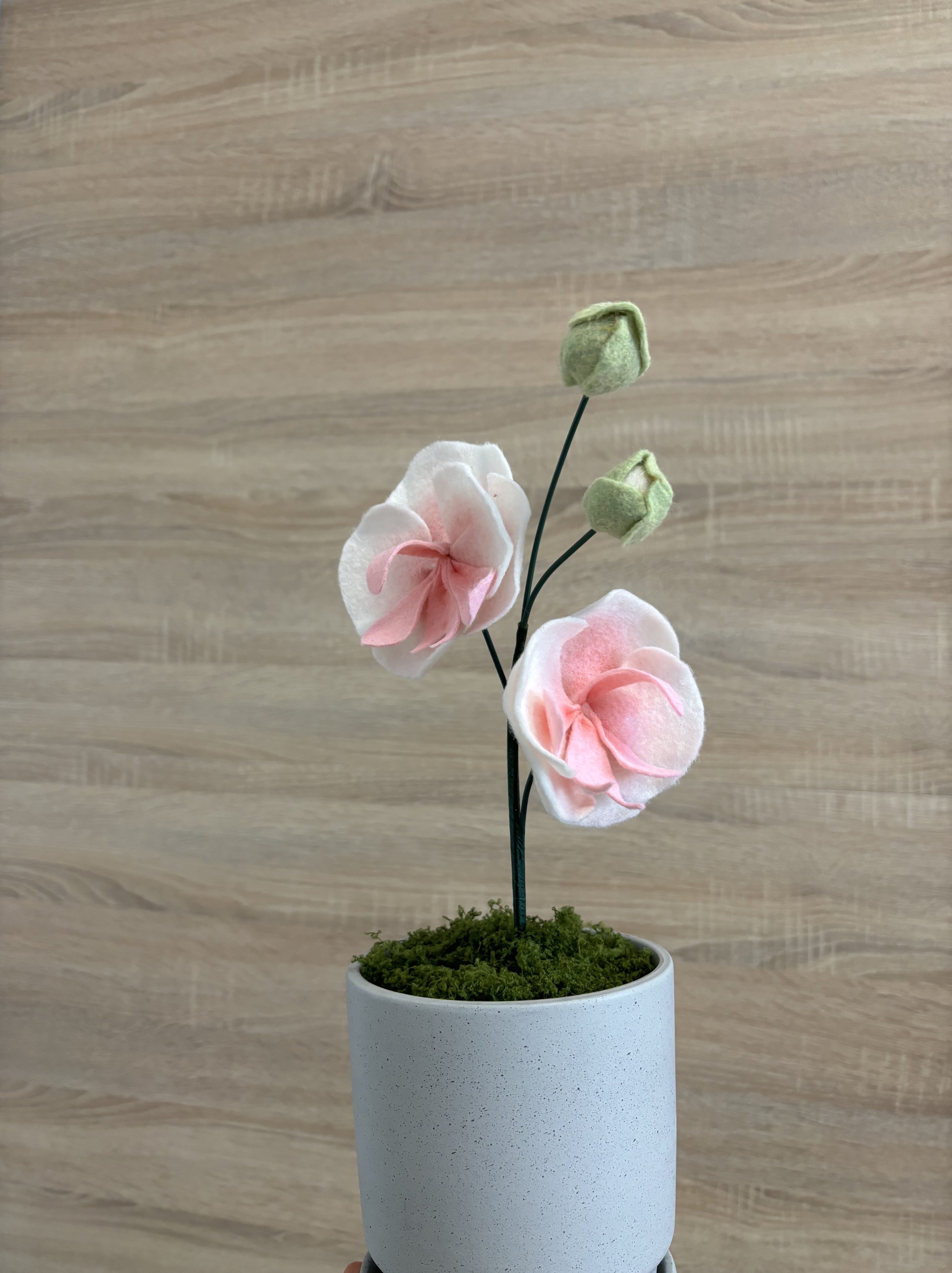 Filc rochidea virág fehér anyagból, rózsaszín pigmenttel gazdagítva, két kinyílt virággal és 2 bimbóval, szürke vázában.